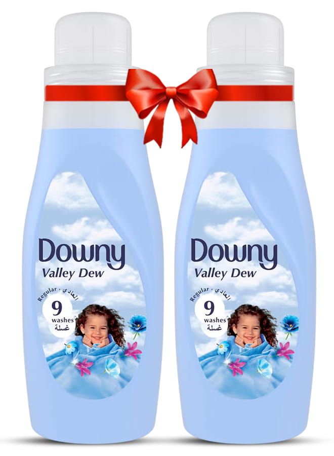 Regular Fabric Softener Valley Dew 2x1L Regular